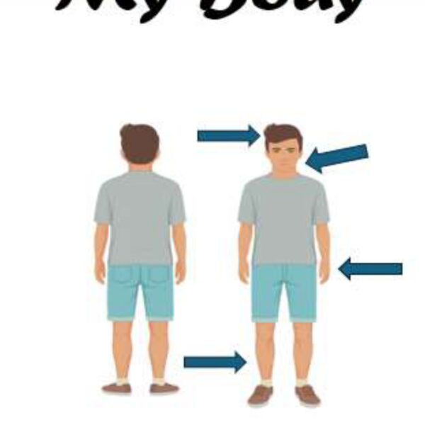My Body Level 6