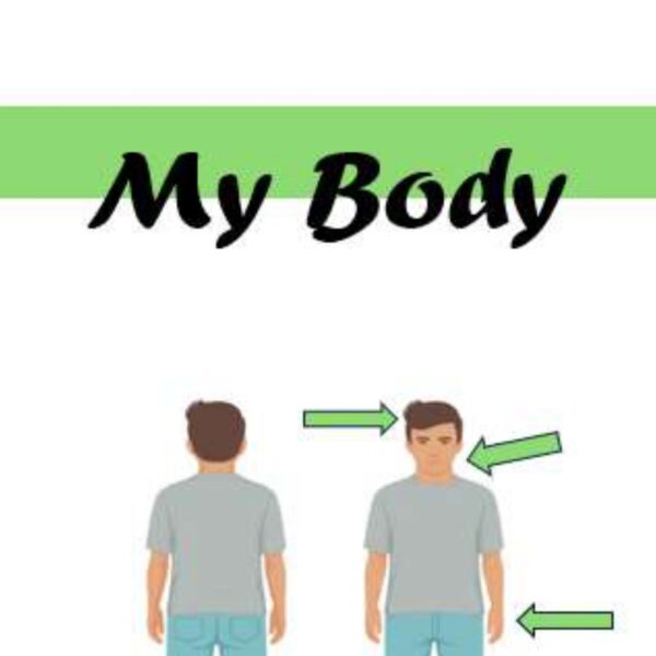 My Body Level 5