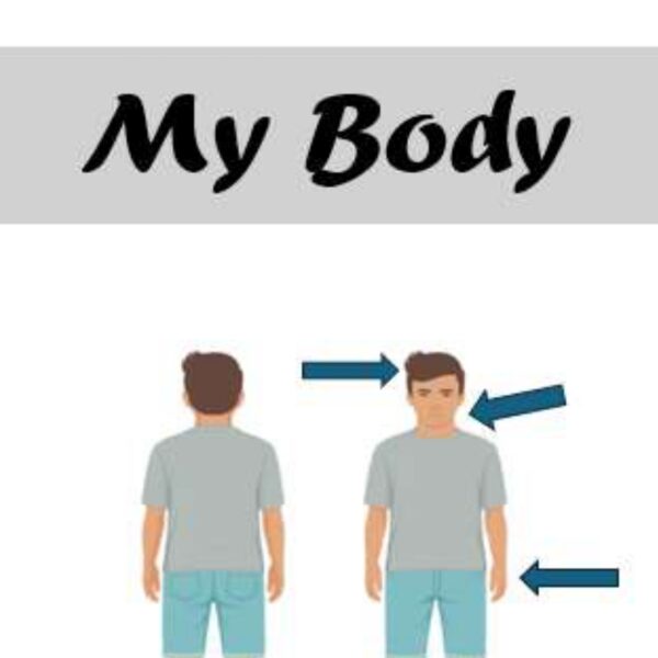 My Body Level 4