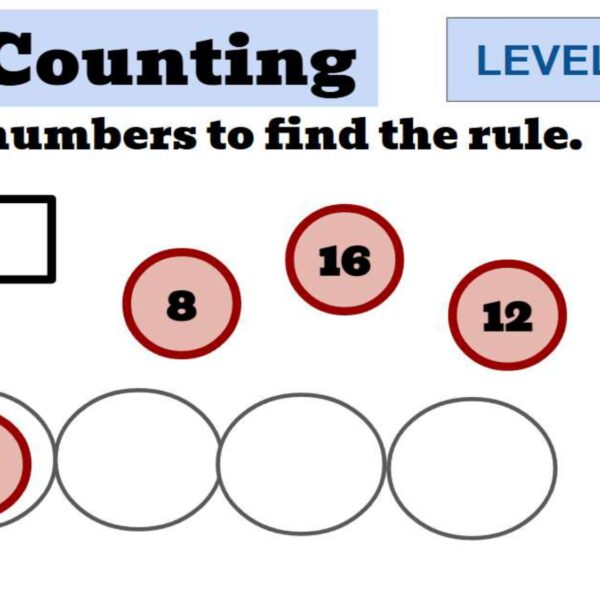 Sort The Numbers Level 5