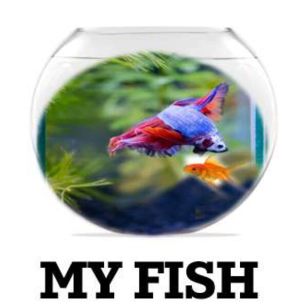 My Fish Level 7