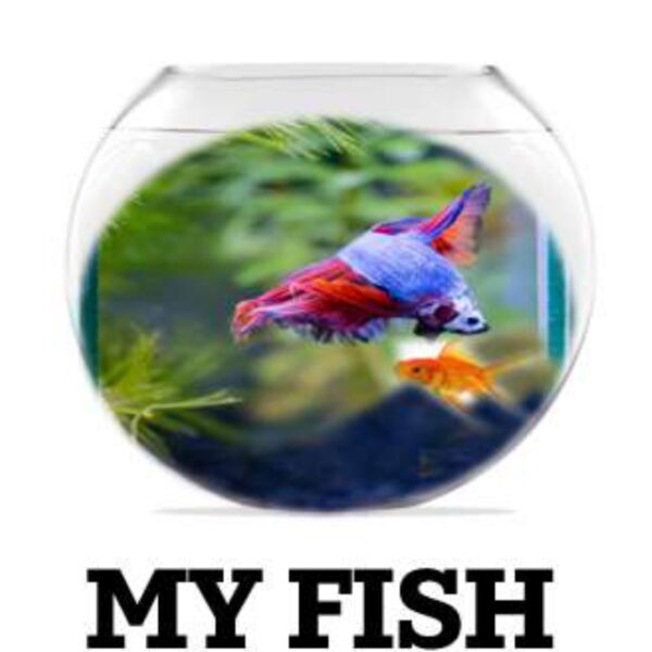My Fish Level 5