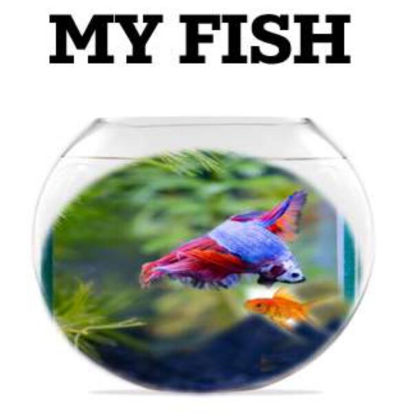 My Fish Level 4