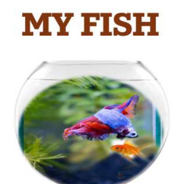 My Fish Level 3