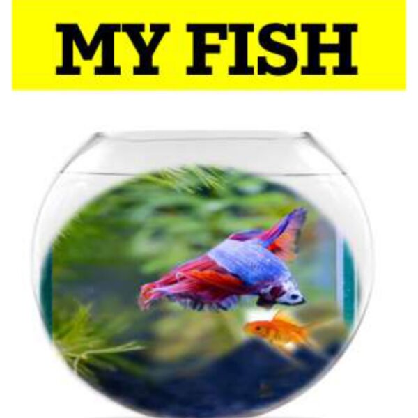 My Fish Level 2