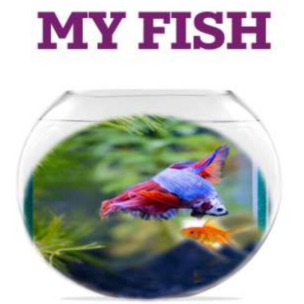 My Fish Level 1
