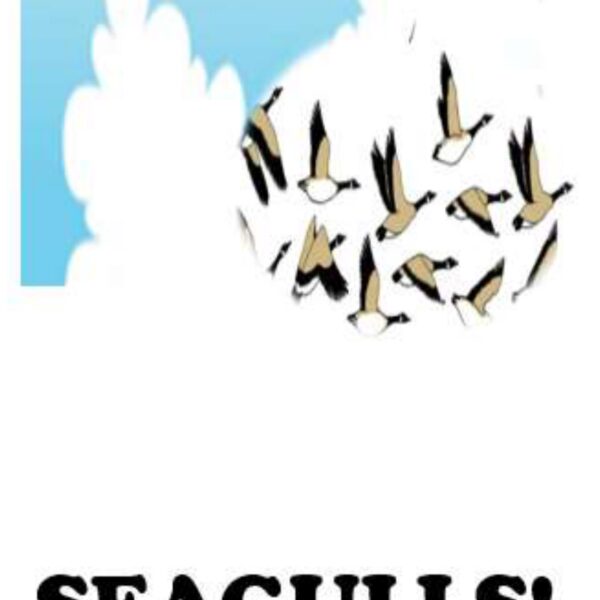 Seagulls Level 7