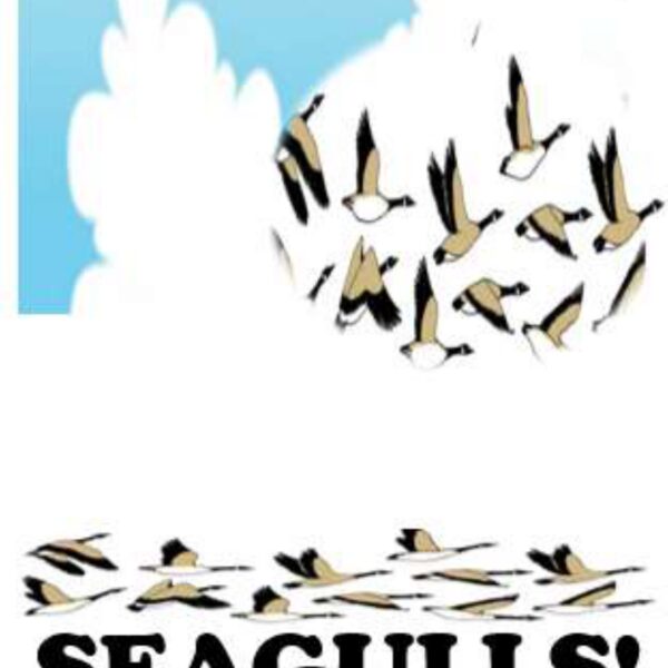 Seagulls Level 6