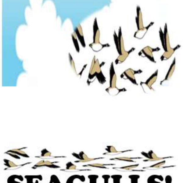 Seagulls Level 5
