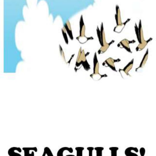 Seagulls Level 4