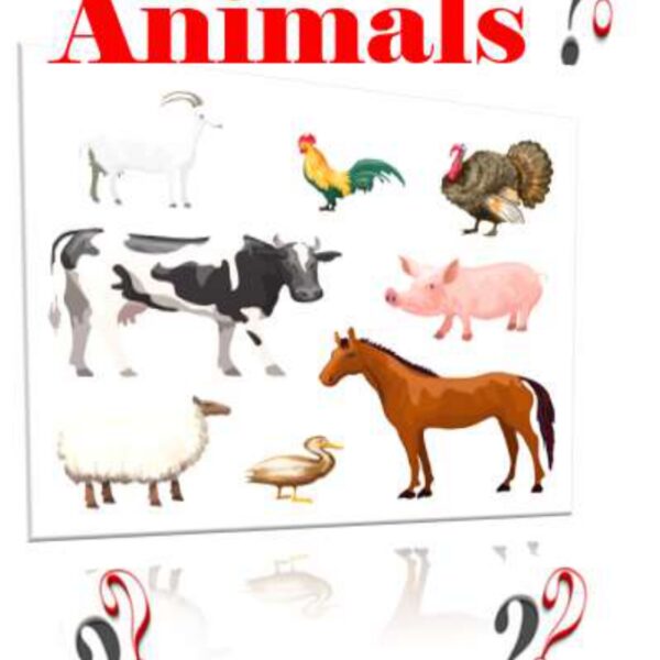 Animals Level 7