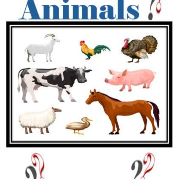 Animals Level 6