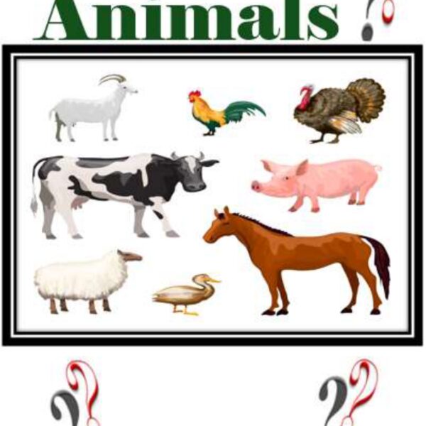 Animals Level 5