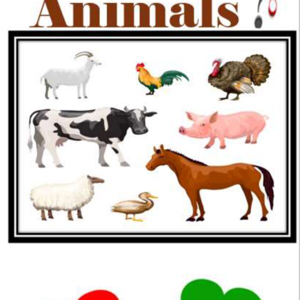 Animals Level 3