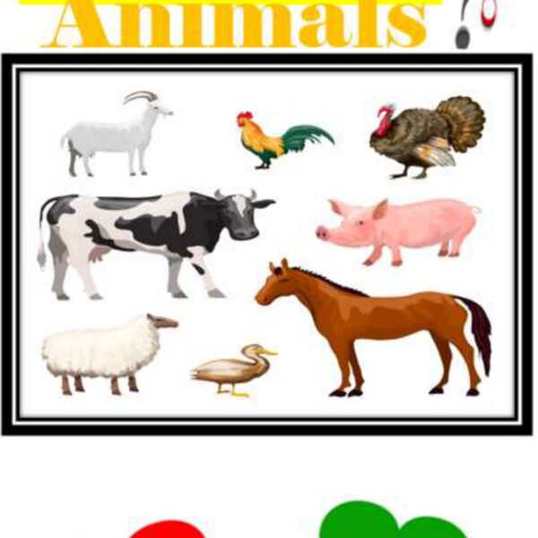 Animals Level 2