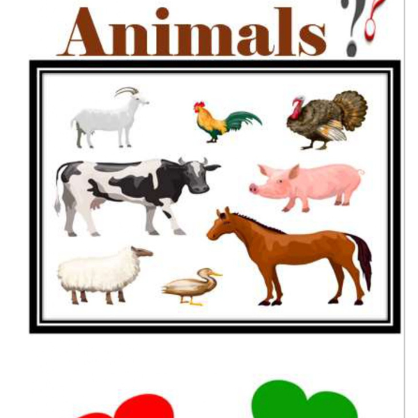 Animals Level 1
