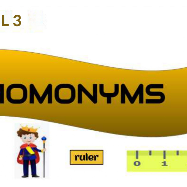 Homonyms Level 3