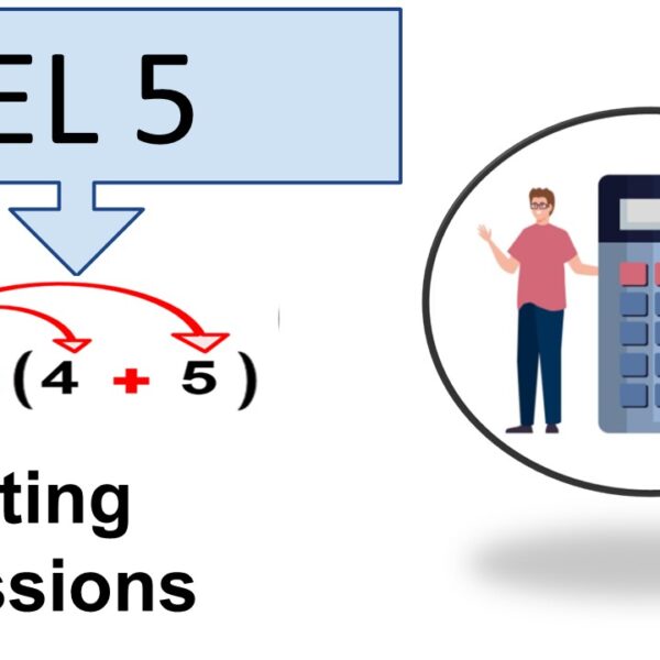 Evaluating Expressions Addition Level 5