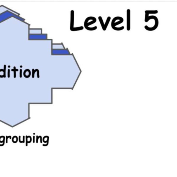 Addition: Regrouping Level 5