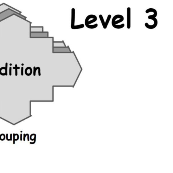 Addition: Regrouping Level 3