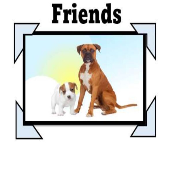 Best Friends Level 6