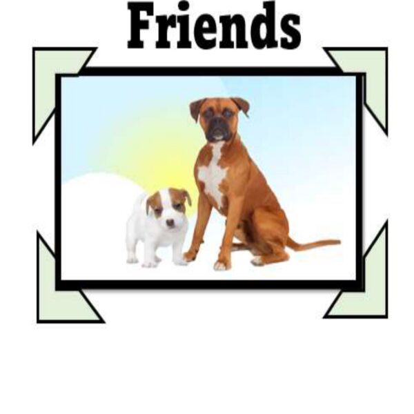 Best Friends Level 5