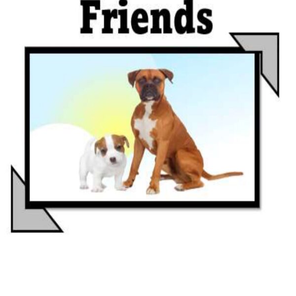 Best Friends Level 4