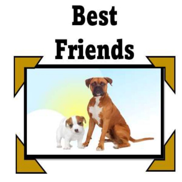 Best Friends Level 3