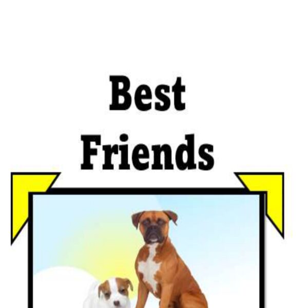 Best Friends Level 2