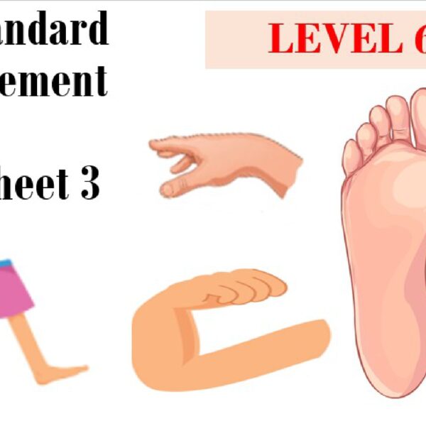 Non-Standard Measurement Worksheet 3 Level 6