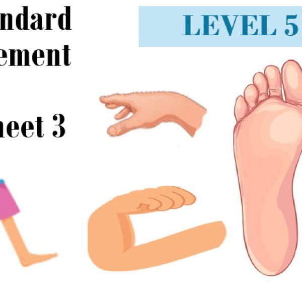 Non-Standard Measurement Worksheet 3 Level 5