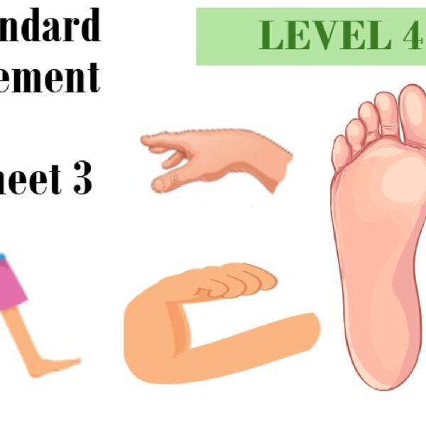 Non-Standard Measurement Worksheet 3 Level 4