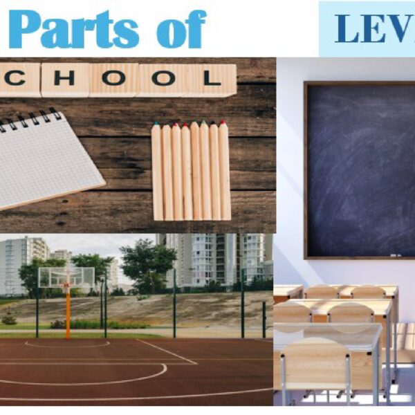 Area: Parts of a school Level 5