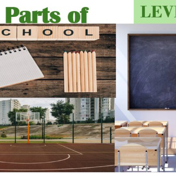 Area: Parts of a school Level 4