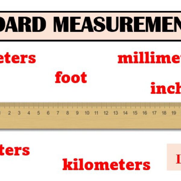 Standard Measurement Worksheet 1 Level 6