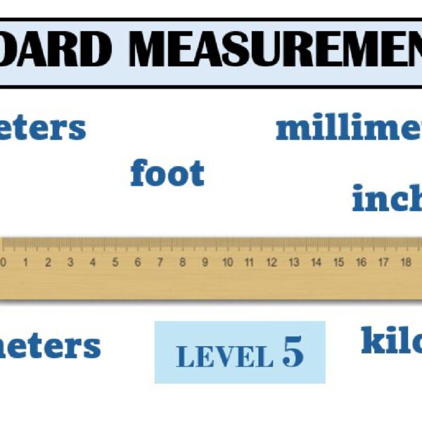 Standard Measurement Worksheet 1 Level 5