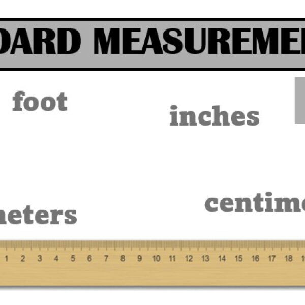 Standard Measurement Worksheet 1 Level 3