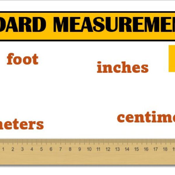 Standard Measurement Worksheet 1 Level 2