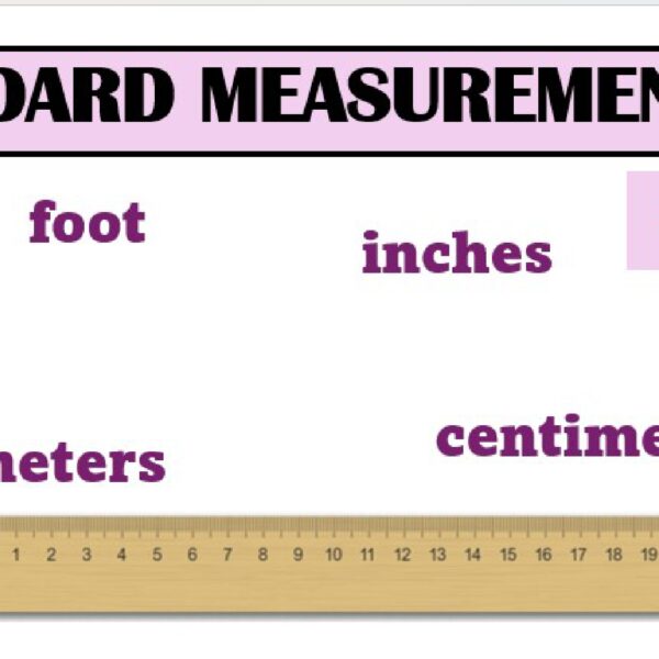 Standard Measurement Worksheet 1 Level 1
