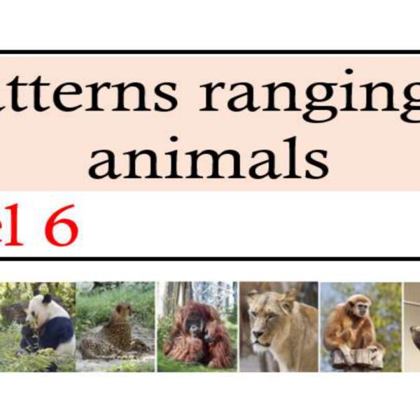 Patterns ranging 9 animals Level 6