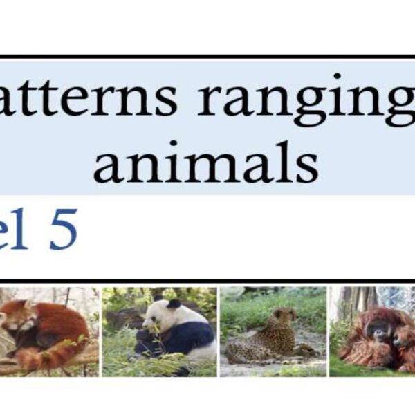 Patterns ranging 9 animals Level 5