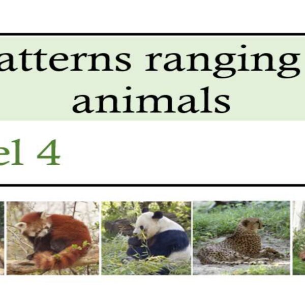 Patterns ranging 9 animals Level 4