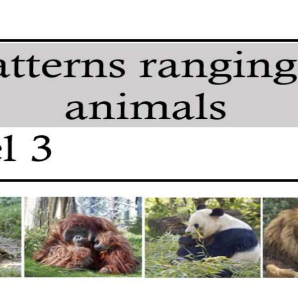 Patterns ranging 9 animals Level 3