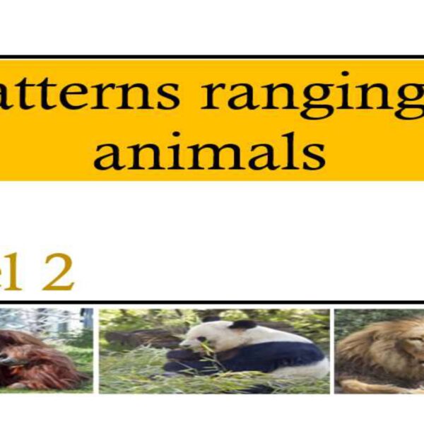 Patterns ranging 9 animals Level 2
