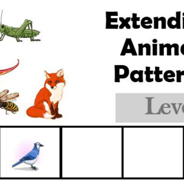 Extending animal patterns Level 3