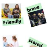 Character Trait