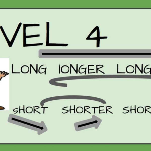 Linear Measurement Level 4