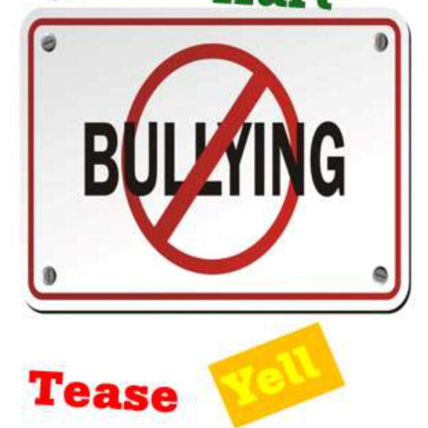 Bullying Levels 7