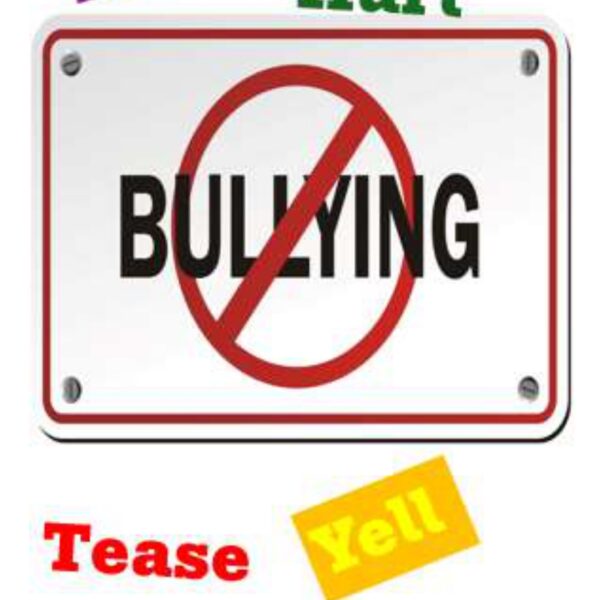 Bullying Levels 6