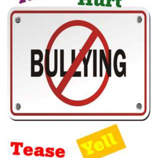 Bullying Levels 5